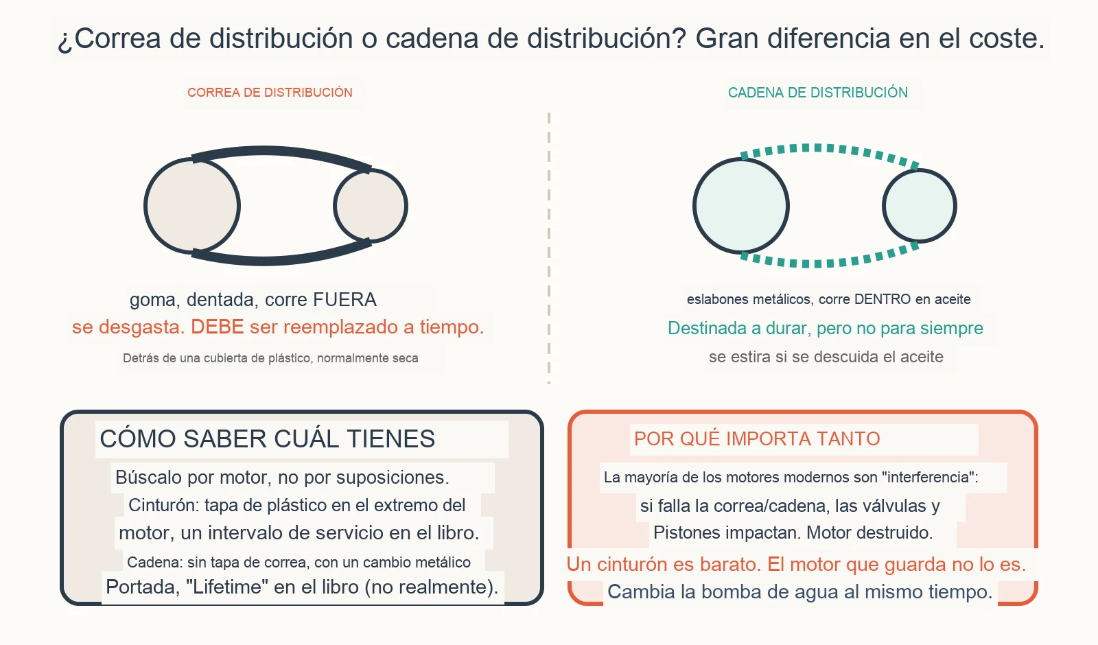 Diagrama diagnóstico: ¿Cómo sé si mi coche tiene una correa de distribución o una cadena de distribución?